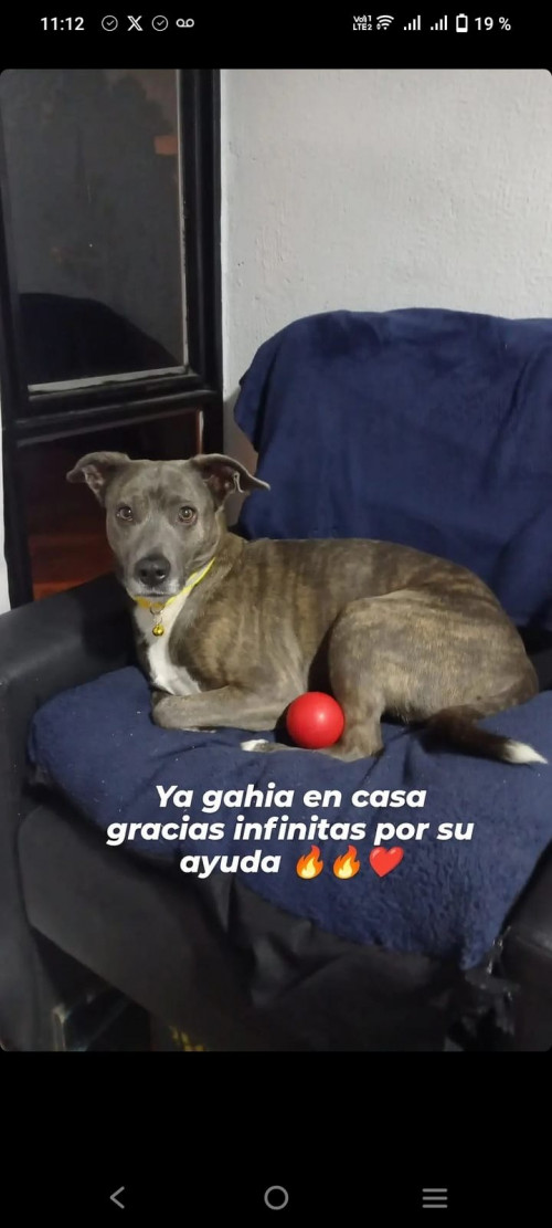 Ghaia