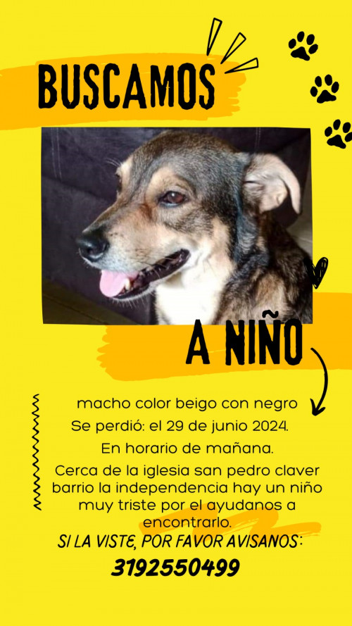 Niño