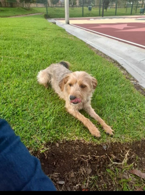 Teo