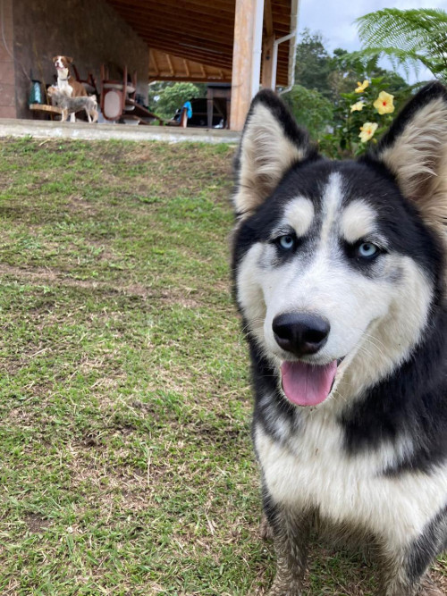 Luna