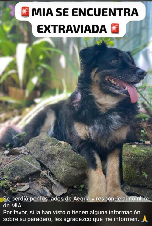 Mia