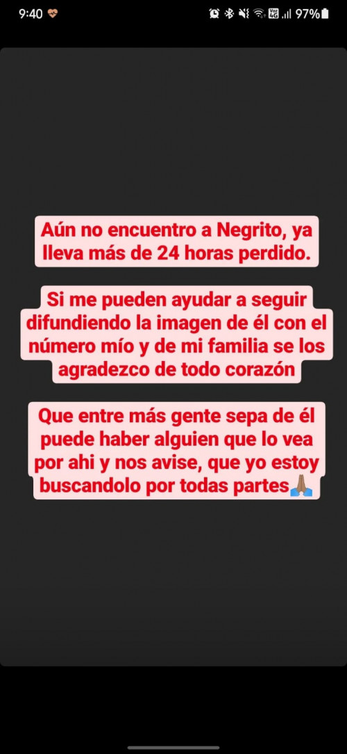 Negro