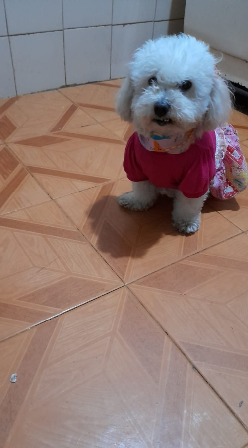 Samy