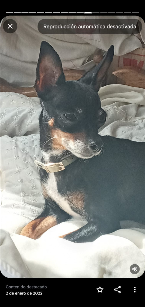 Betty