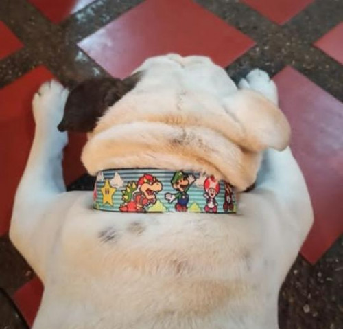 Ramón