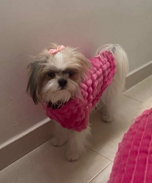 Perla