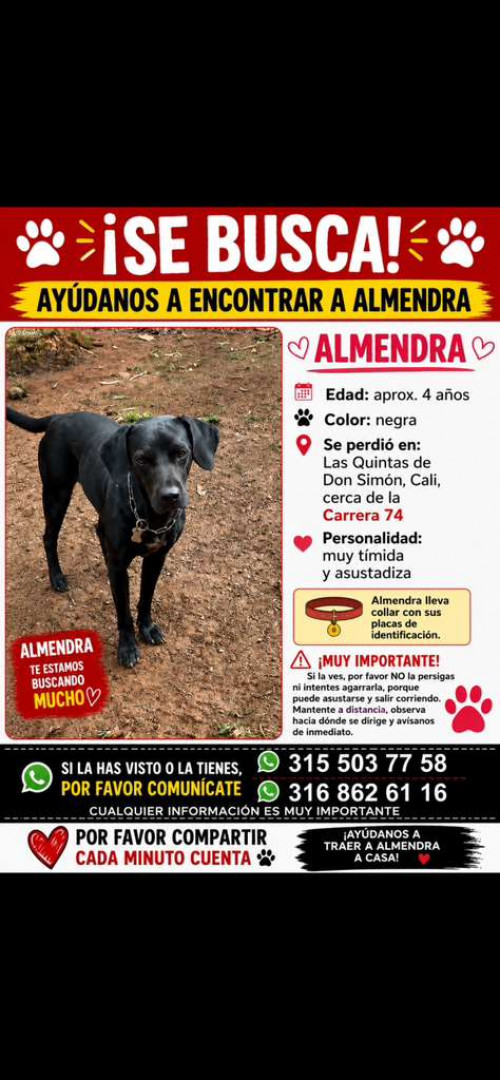 Almendra