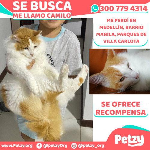 Foto de mascota Camilo