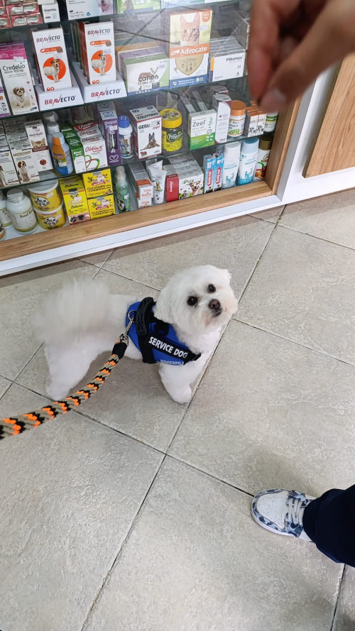 Max