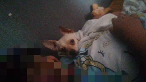 Tobi