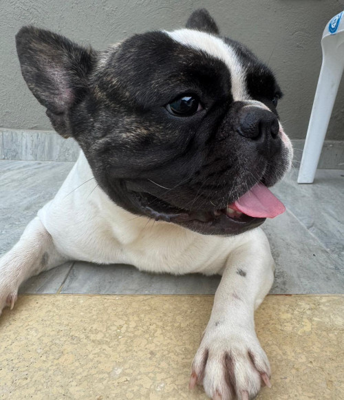 Max