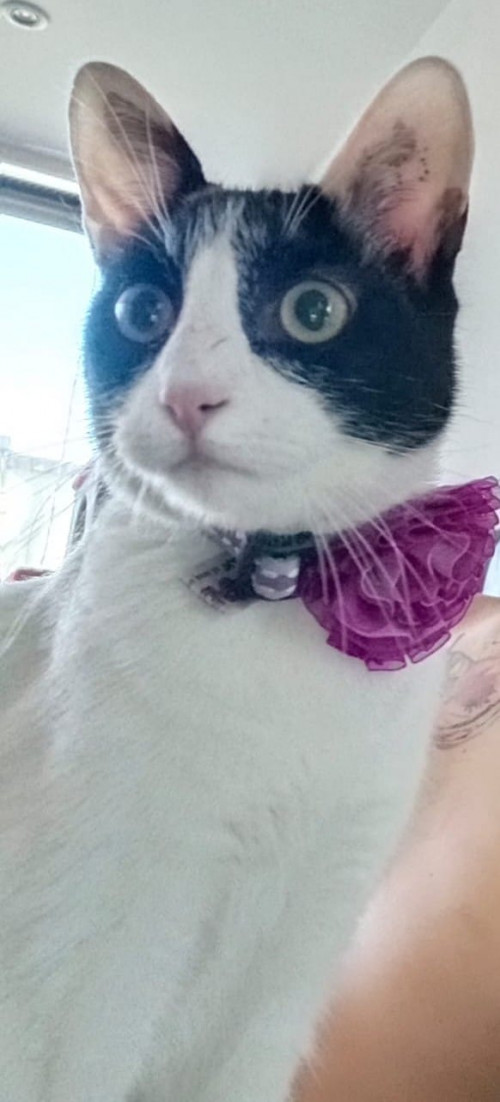 Abby