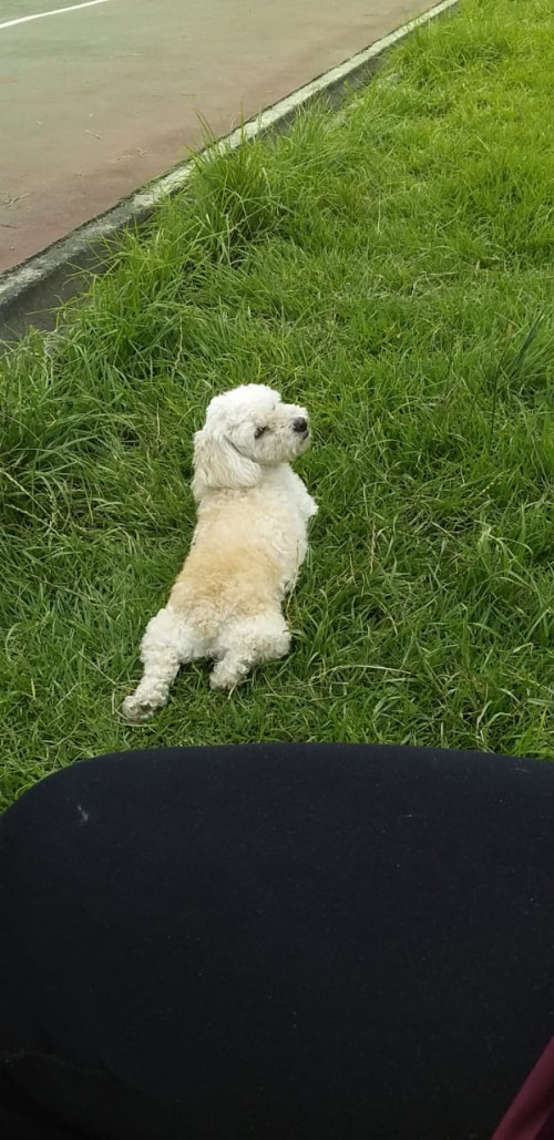 Samy