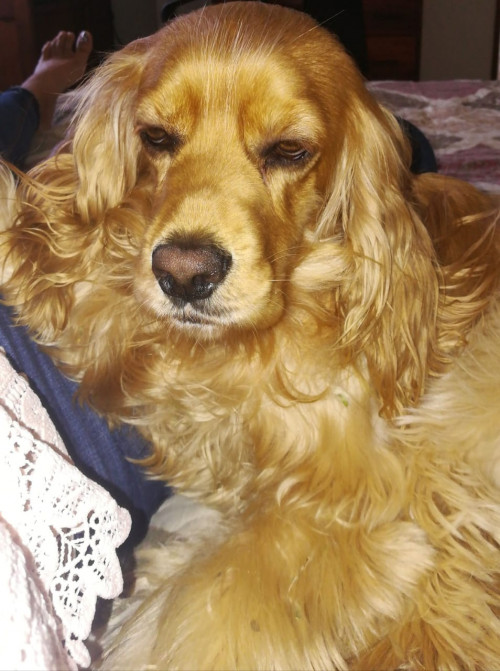 Molly