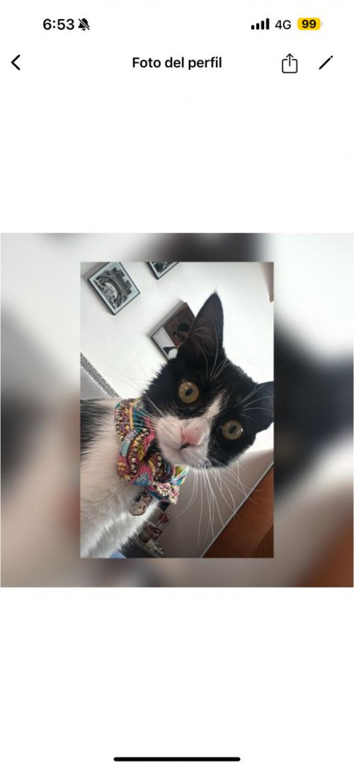 Vicky (victoria)