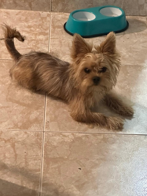 Milo