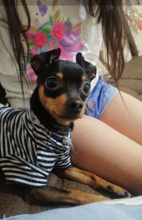 Milo