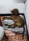 Foto de Zeus en Floridablanca Santander #0