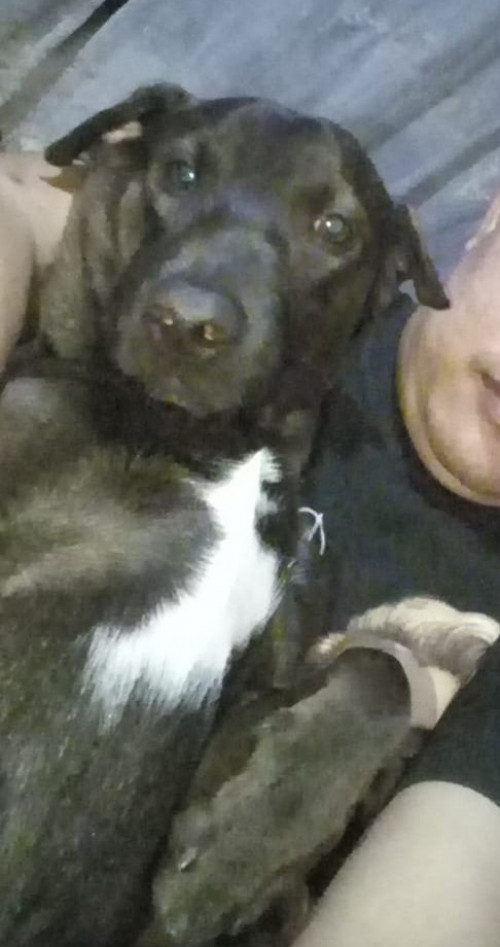 Matias