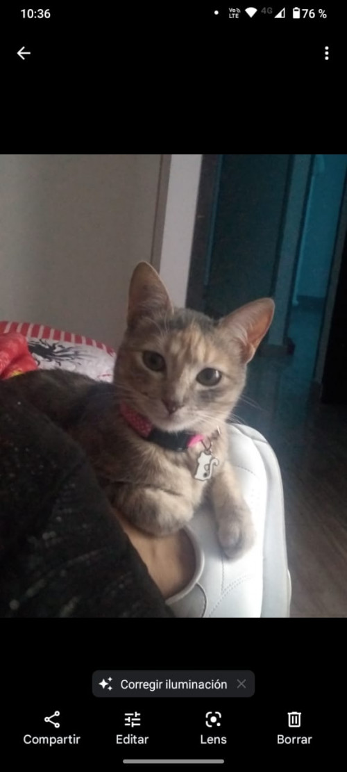 Luna
