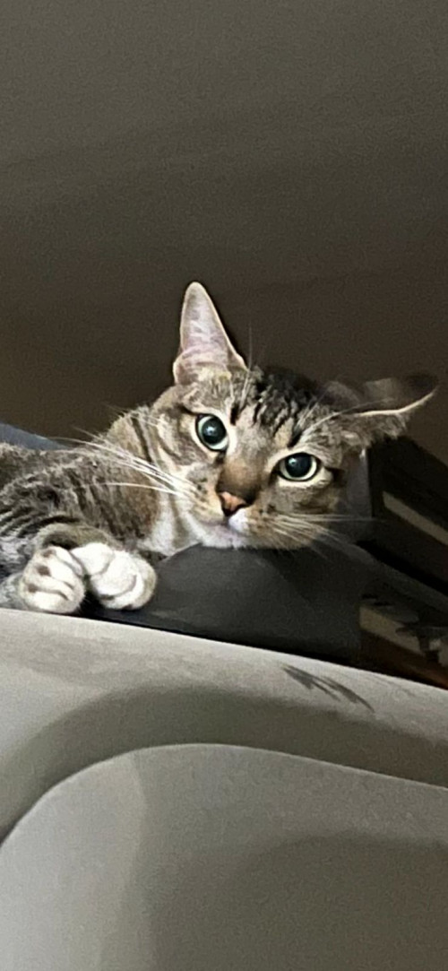 Lucy