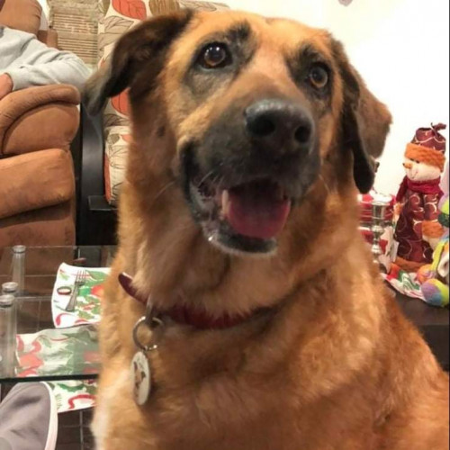 Kayna