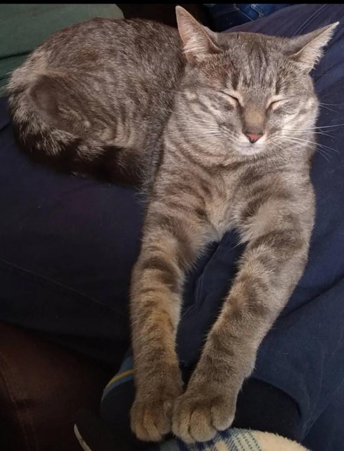 Nina