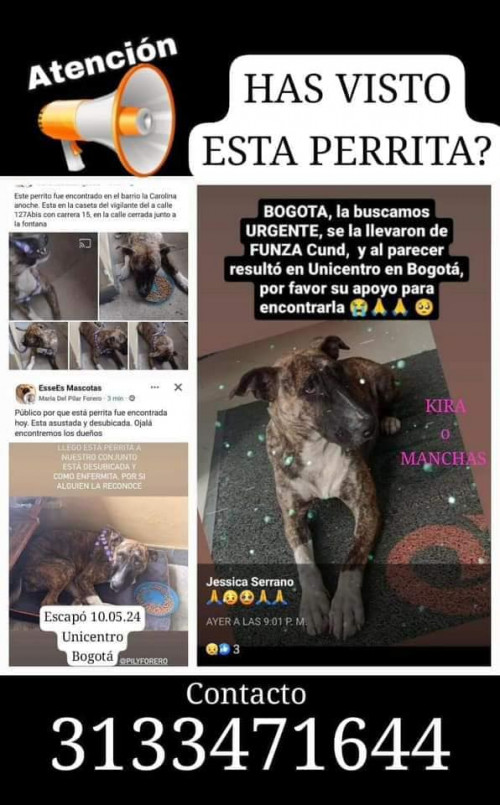 Kira O Manchas