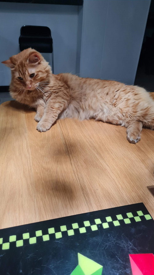 Ragnar