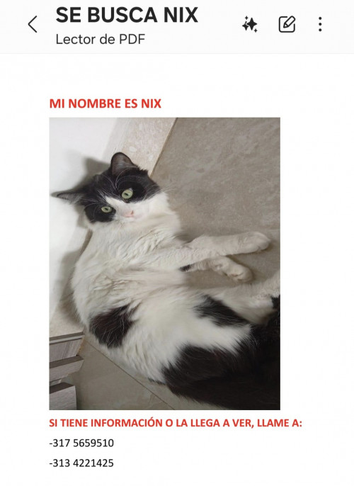 Nix