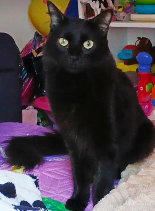 Salem