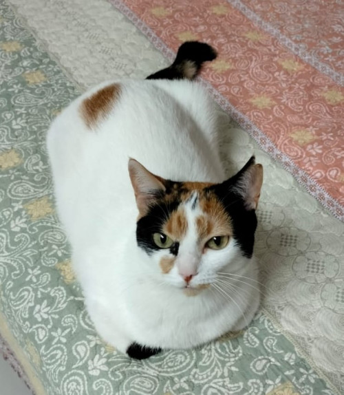 Luna