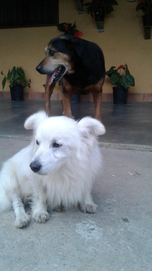 Lucas