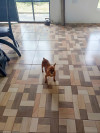 Foto de Burbuja en Popayán Cauca #3