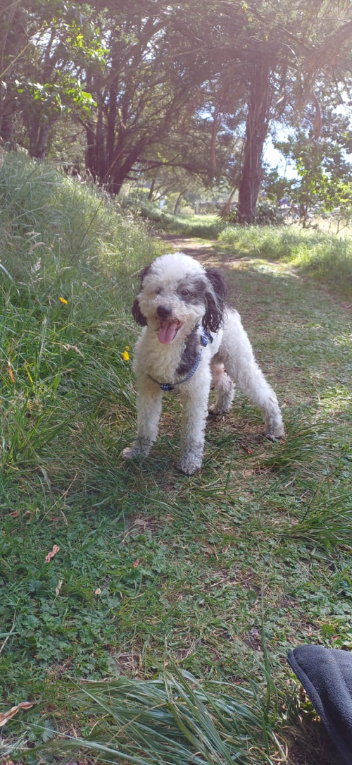 Benyi