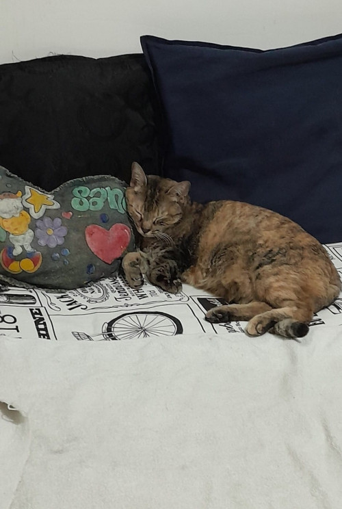 Niña