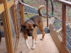 Foto de Aquiles en Yumbo Valle del Cauca #1