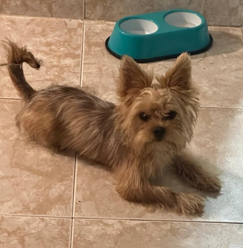 Milo