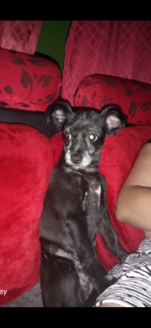 Luna