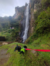 Foto de Canela en  Bogotá #3
