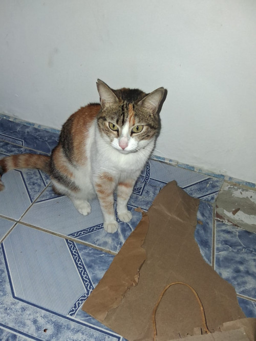 Mia