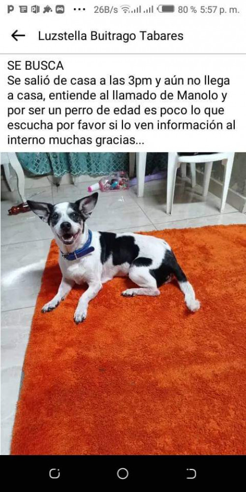 Manolo