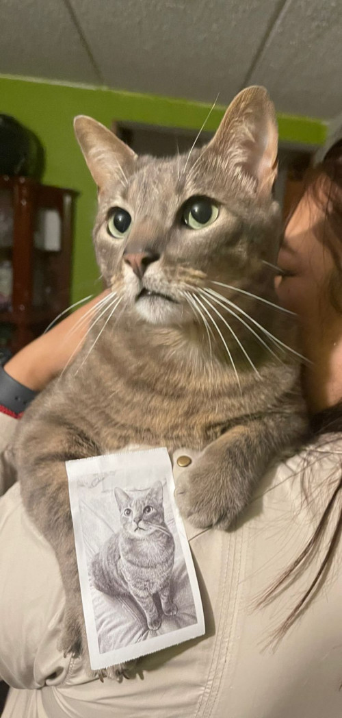 Merlín