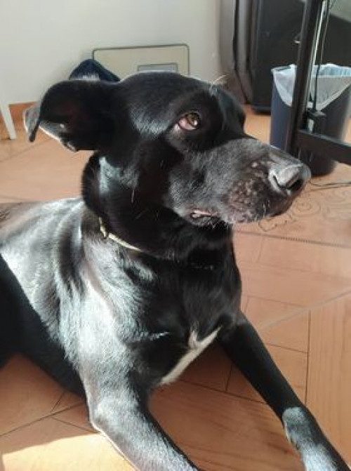 Júpiter