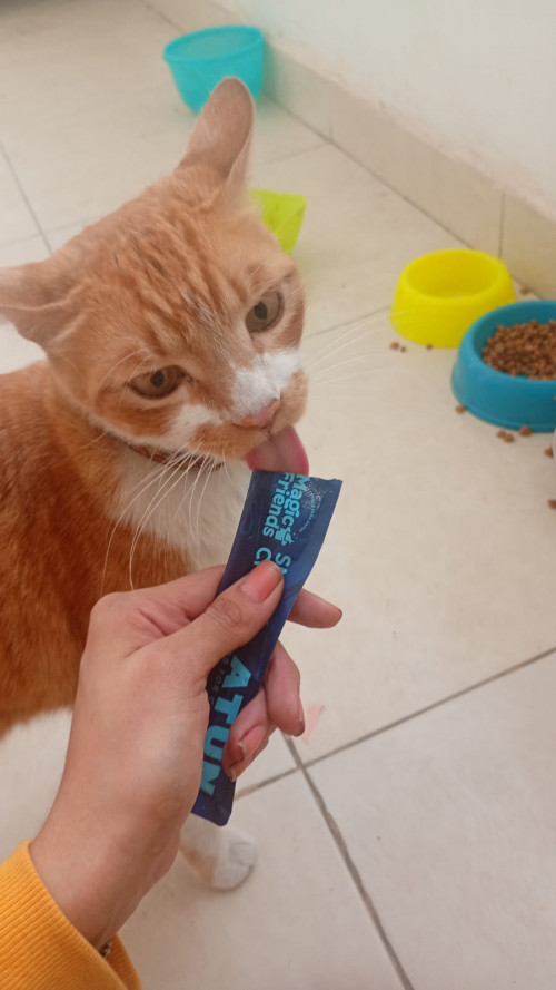 Milo