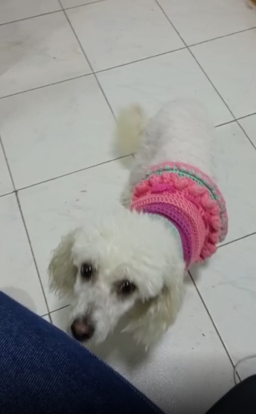  Luly