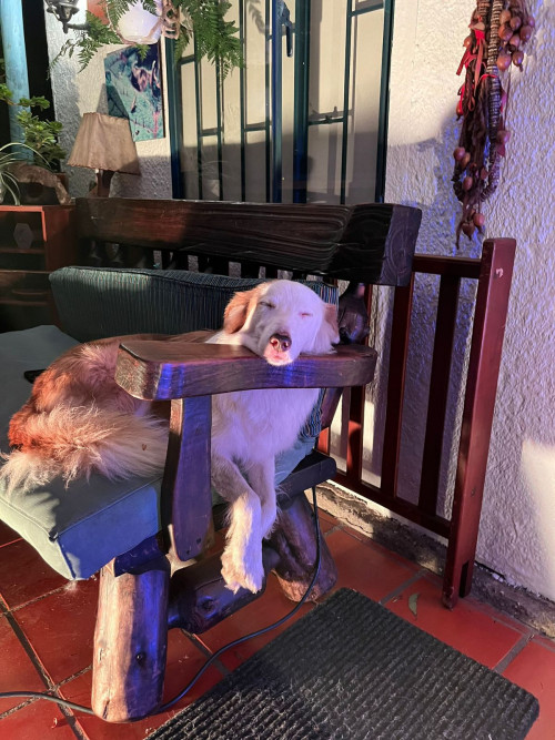 Zoé Y Lola