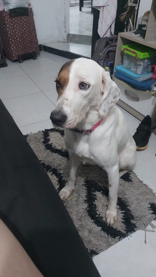 Kira