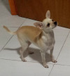 Foto de Bu en Barranquilla Atlántico #2