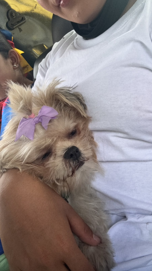 Molly